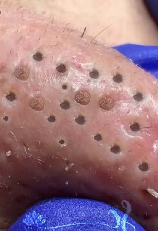 The Secret Scripture